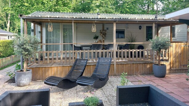 Un espace extérieur abrité, doté d’une terrasse en bois, de chaises longues et de plantes en pot.