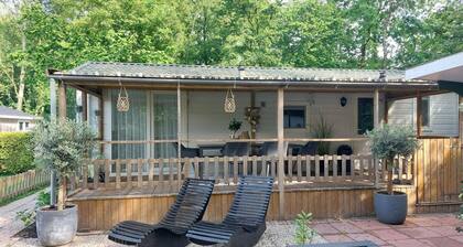 Cosy Holiday Home in Appelscha With Garden