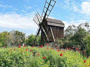 Hus | Eksteriør