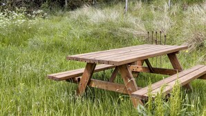 Une table de pique-nique en bois, installée dans un champ herbeux, avec des arbres en arrière-plan.