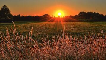 Atardecer sobre un campo con hierba alta al frente.