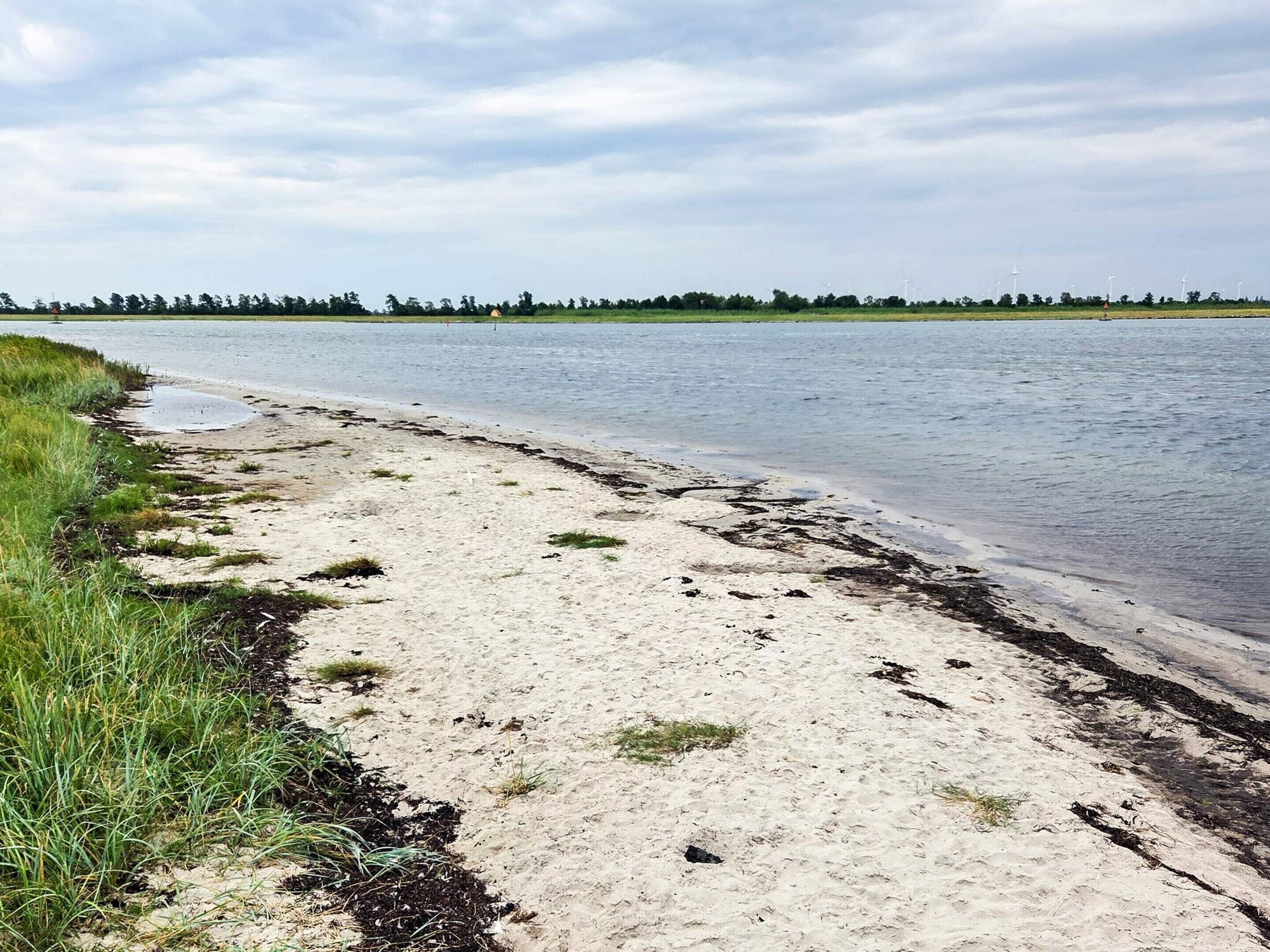 A sandy beach with water, grass, and trees in the background.