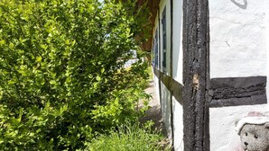 A building with a white facade and black timber framing, partially obscured by lush green foliage. - 8 Person Holiday Home in Hadsund (Hadsund)