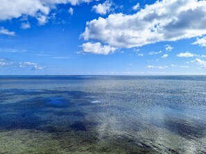 獨棟房屋 | 水景