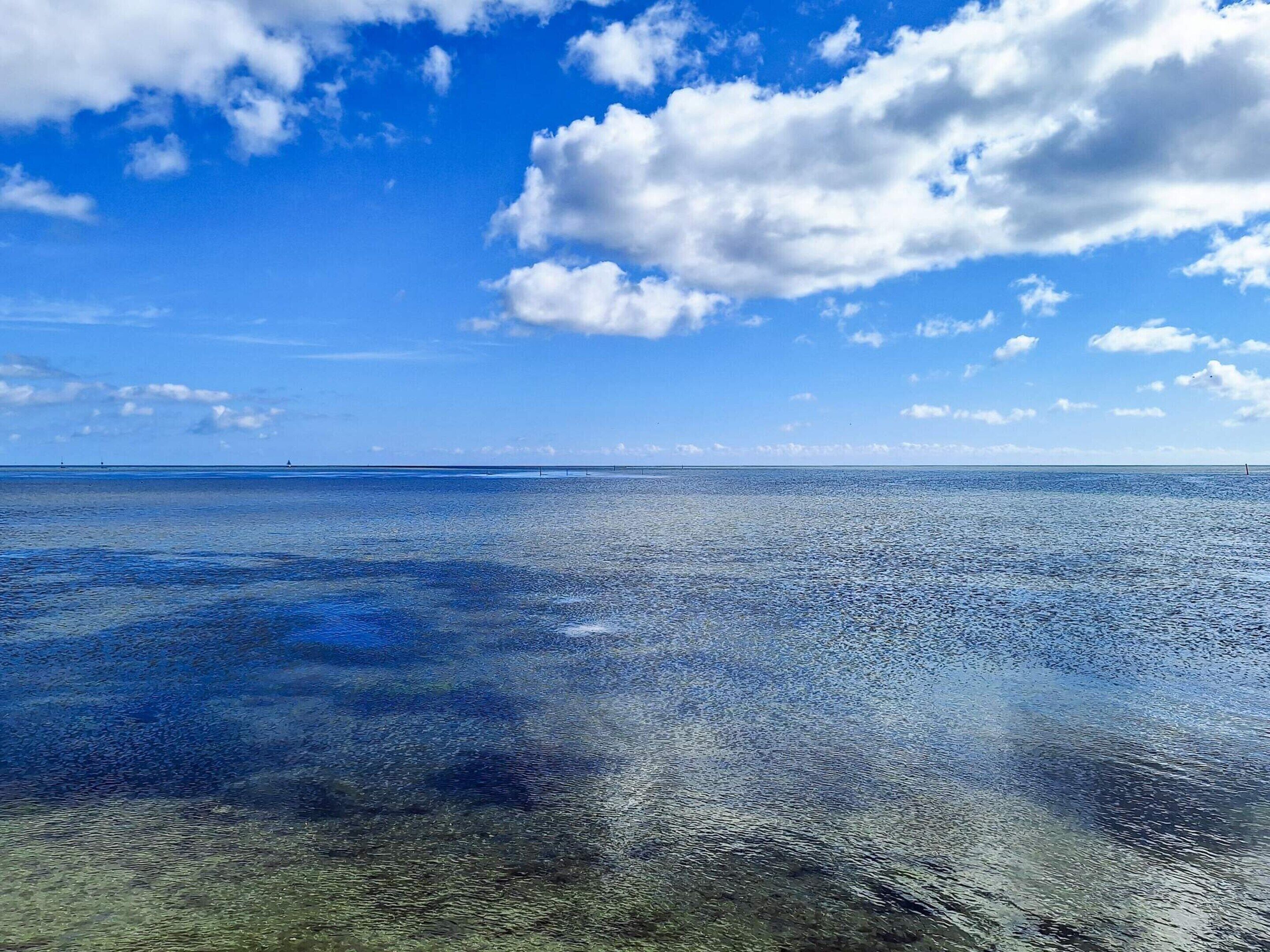 House | Water view