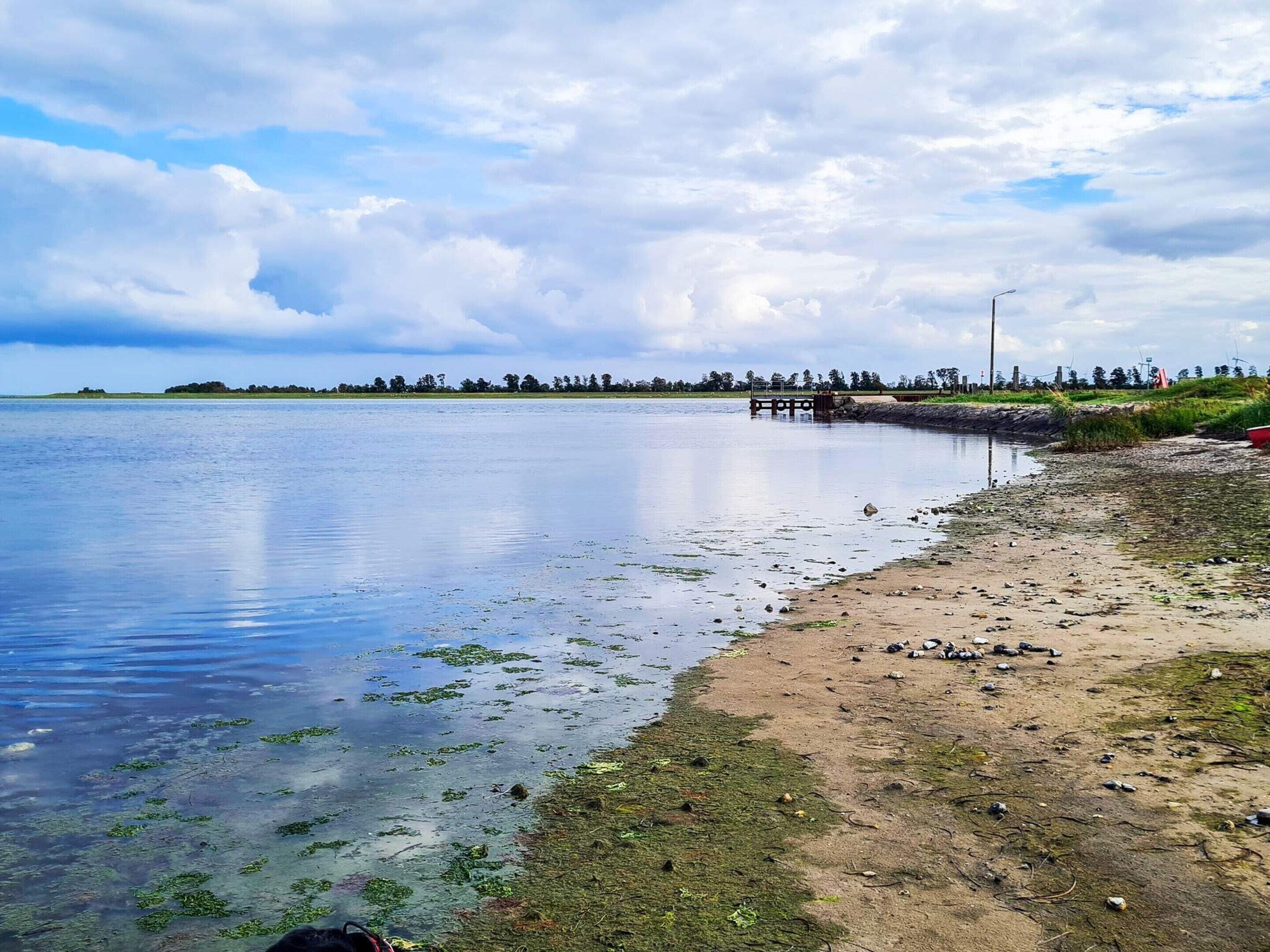 A calm lake with a sandy shore, a wooden dock, and a distant tree line.