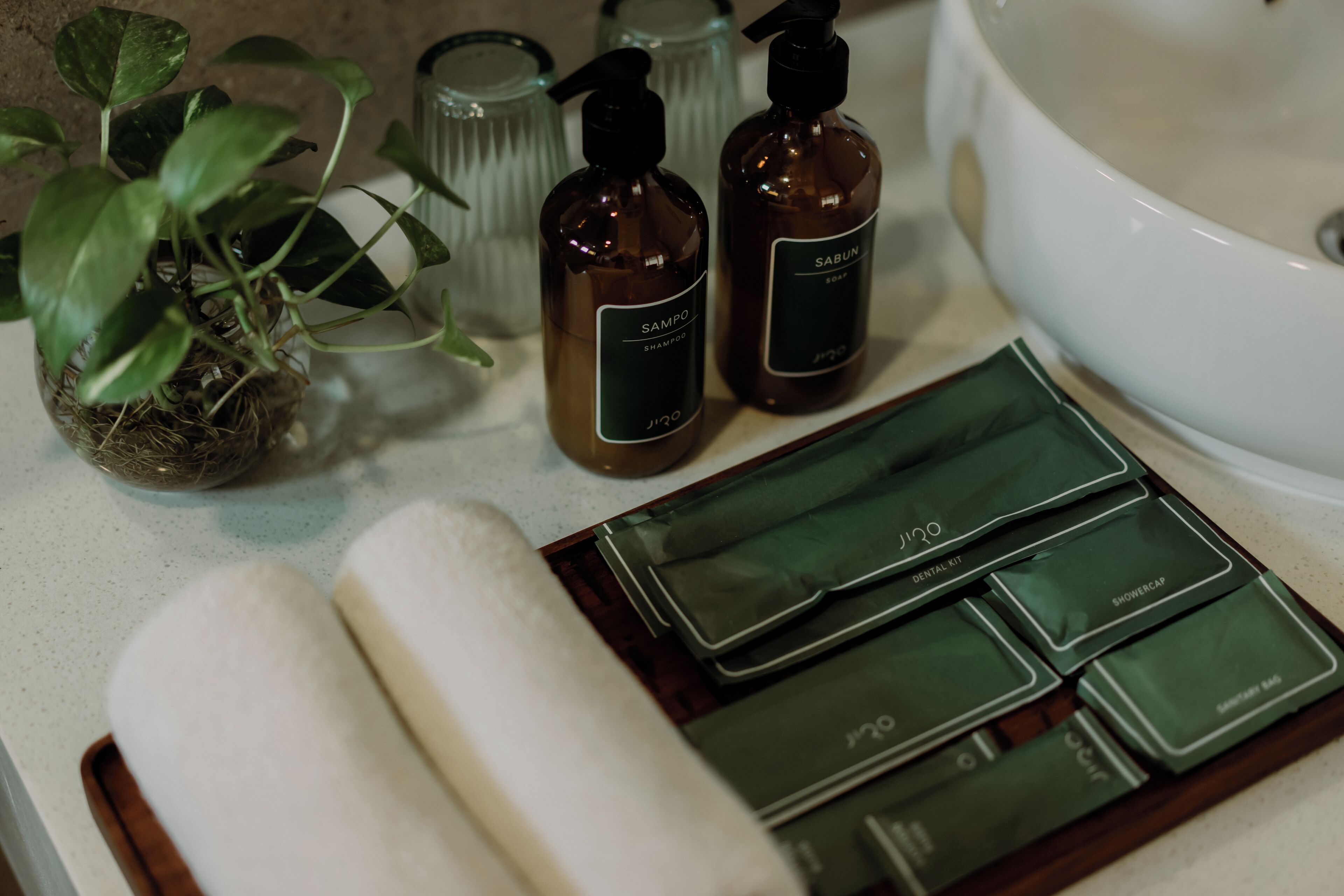 Una encimera de baño con artículos de aseo, una planta y un kit de higiene bucal.