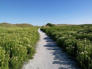 A gravel path flanked by dense green vegetation under a clear blue sky. - "sina" Comfortable Holiday Residence (Julianadorp)