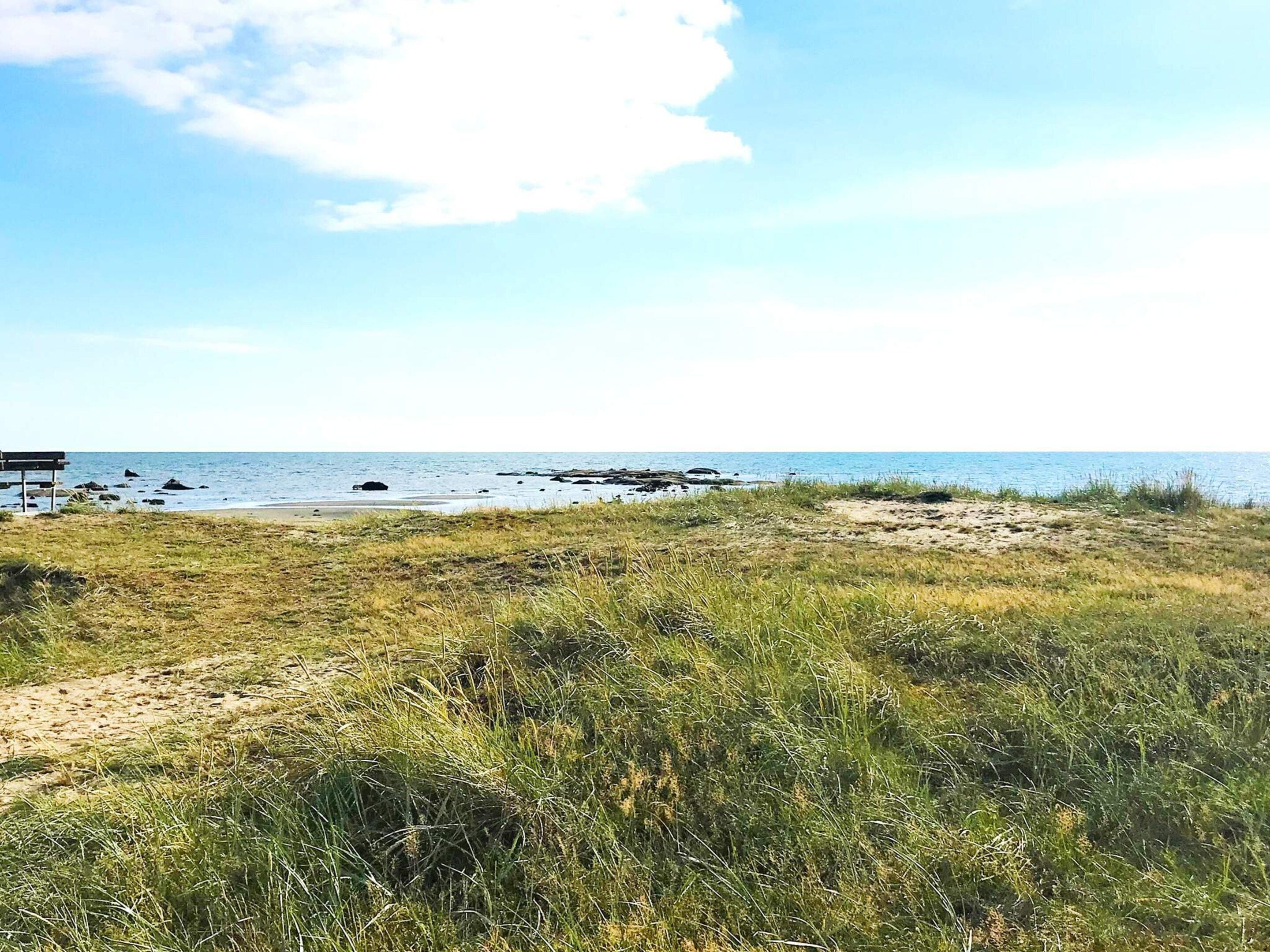 Een strand met een houten bankje en een pad naar het water.