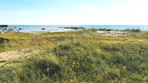 Une plage avec un banc en bois et un sentier menant à l’eau.