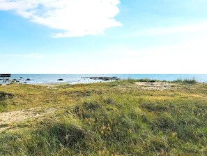 A beach with a wooden bench and a path leading to the water. - 4 Star Holiday Home in Mellbystrand (Mellbystrand)