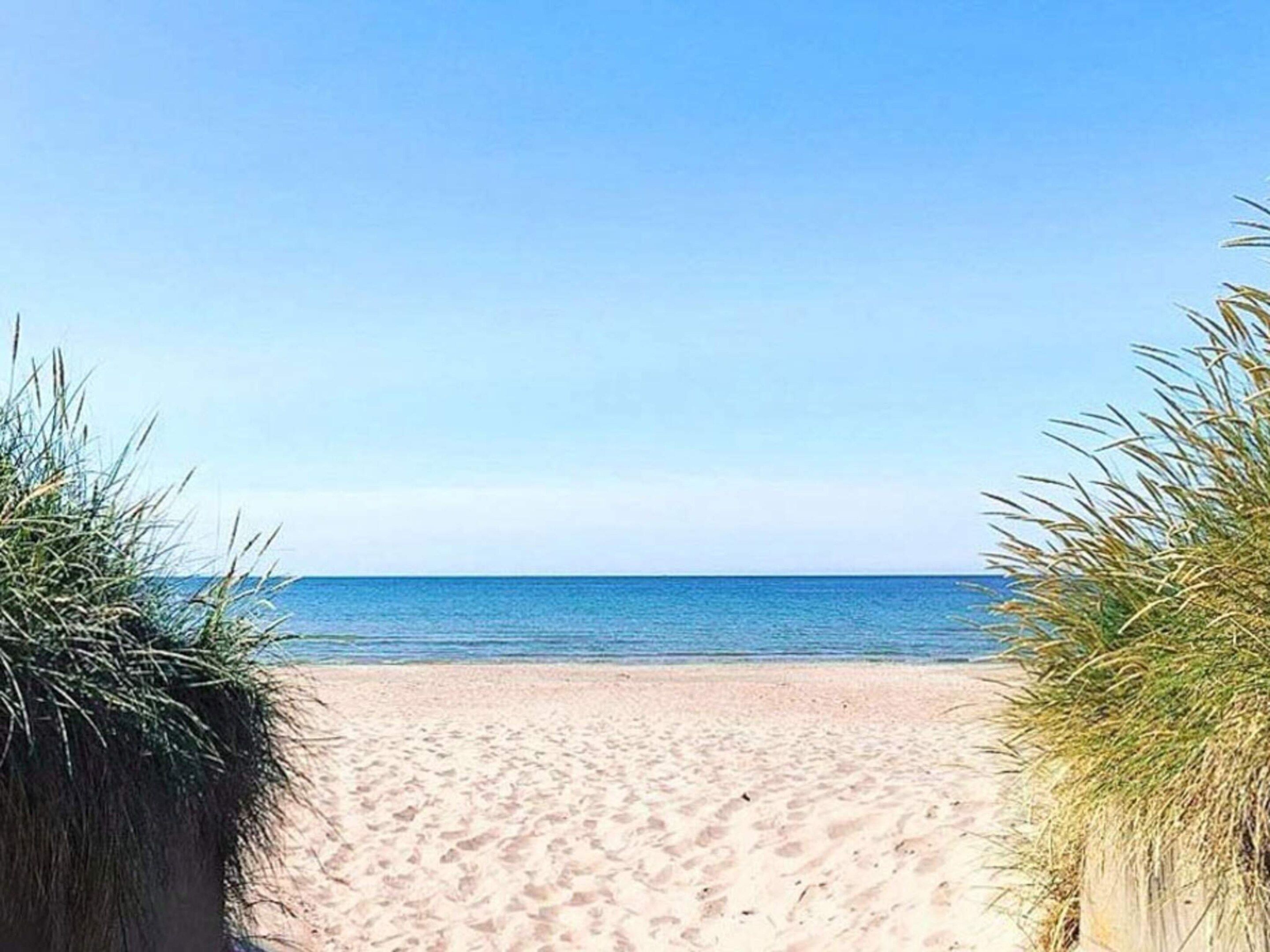 A beach path leading to the sea with sand and sparse vegetation on either side.