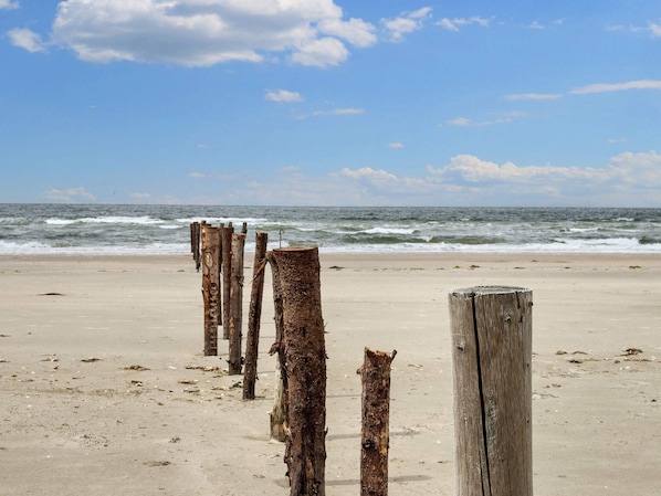 House | Beach