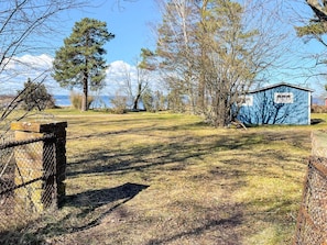 A fenced yard with a blue shed, trees, and a clear sky.