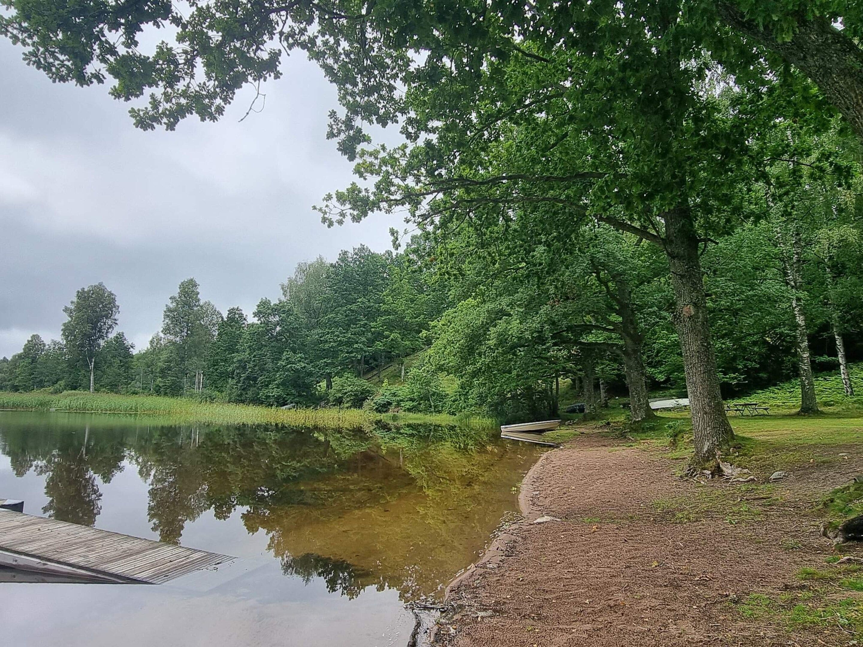 Een landschap bij een meer, met een steiger, bomen en een picknicktafel.