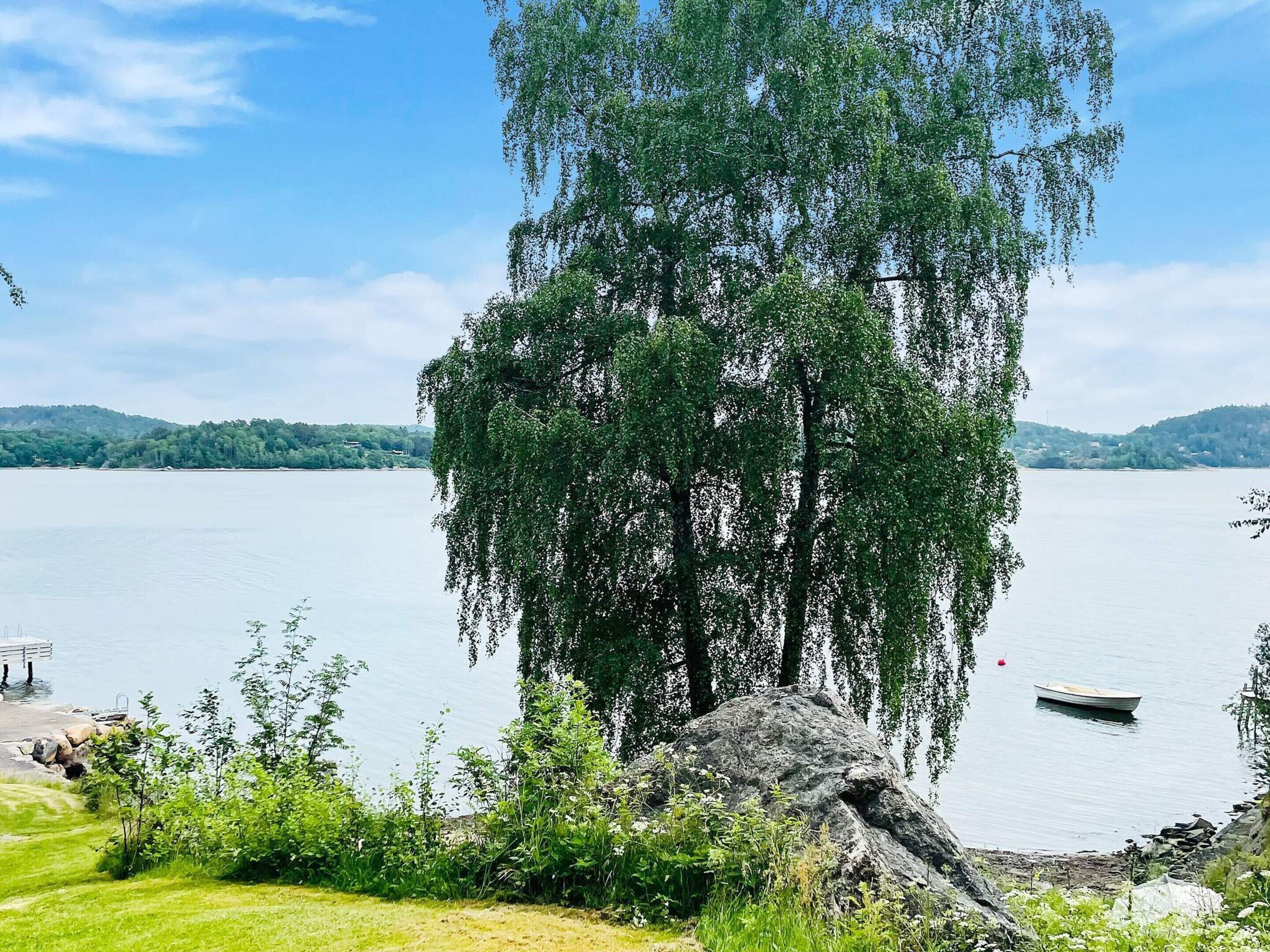 Una vista tranquila de un lago con un llamativo sauce llorón, un bote pequeño y una formación rocosa en primer plano.