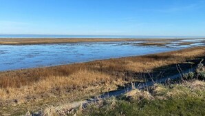 A coastal landscape with a clear sky, a water body, and dry grass fields. - 6 Person Holiday Home in Hadsund (Hadsund)
