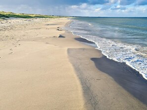 House | Beach - 6 Person Holiday Home in Albaek (Aalbaek)