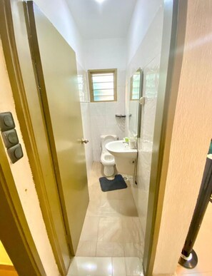 Chuveiro, secador de cabelo, toalhas de banho, papel higiênico
