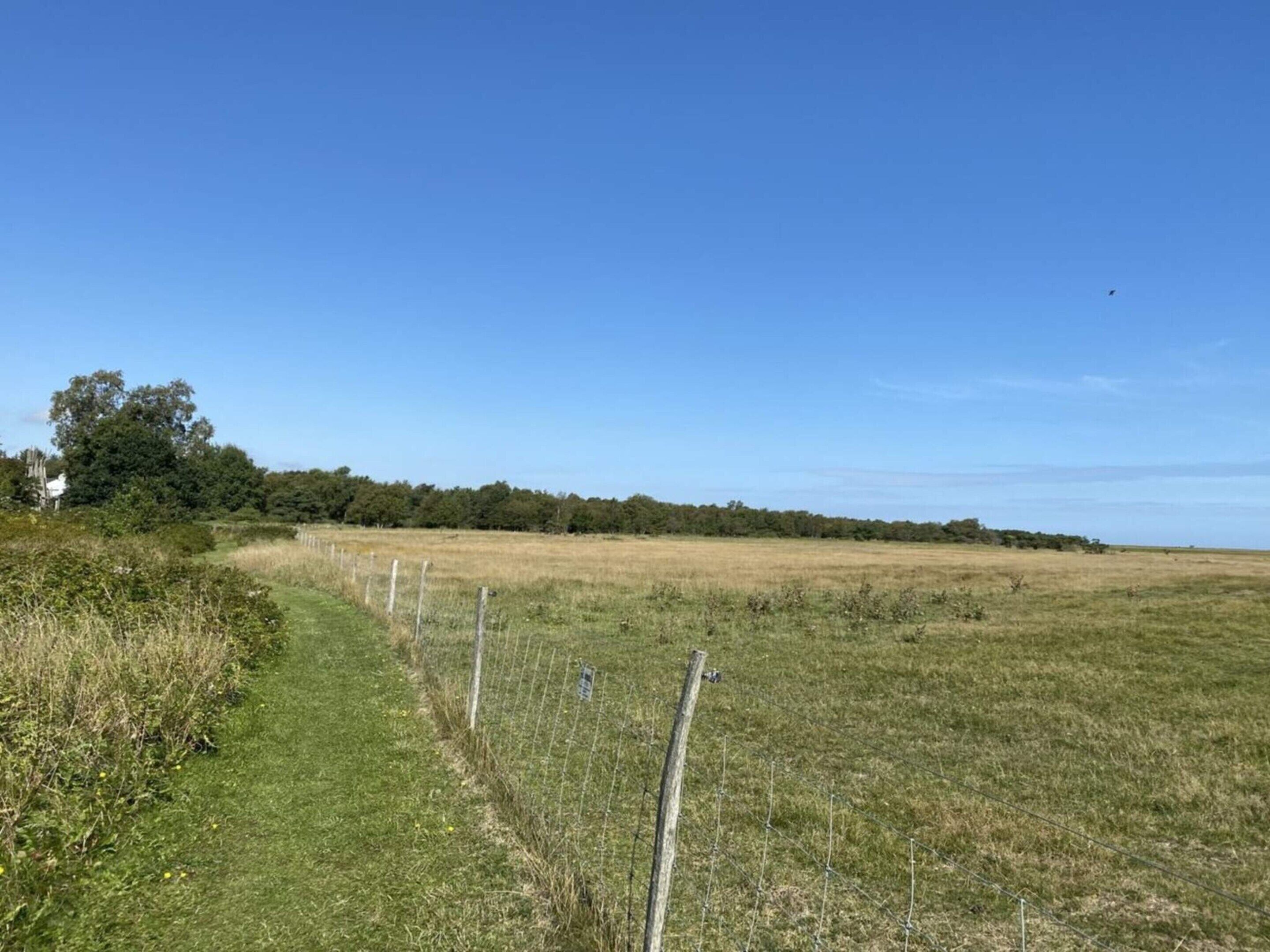 A rural landscape with a grassy field, a fence, and a tree line in the distance.