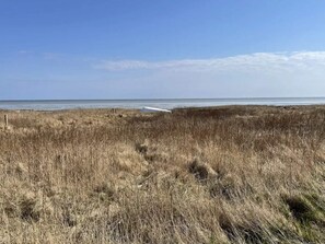 A coastal landscape with dry grass and a clear sky. - 6 Person Holiday Home in Hadsund (Hadsund)