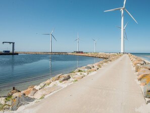 Un camino de concreto al lado de una masa de agua tranquila, con aerogeneradores al fondo.