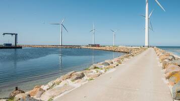 House | Property grounds