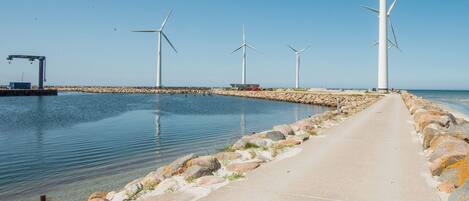 House | Property grounds