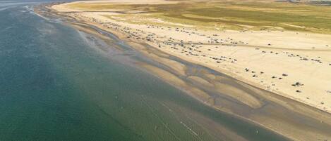 하우스 | 수변 전망