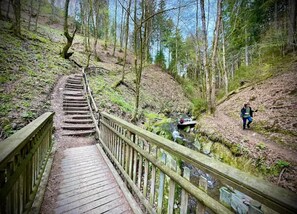 Apartment | View from property