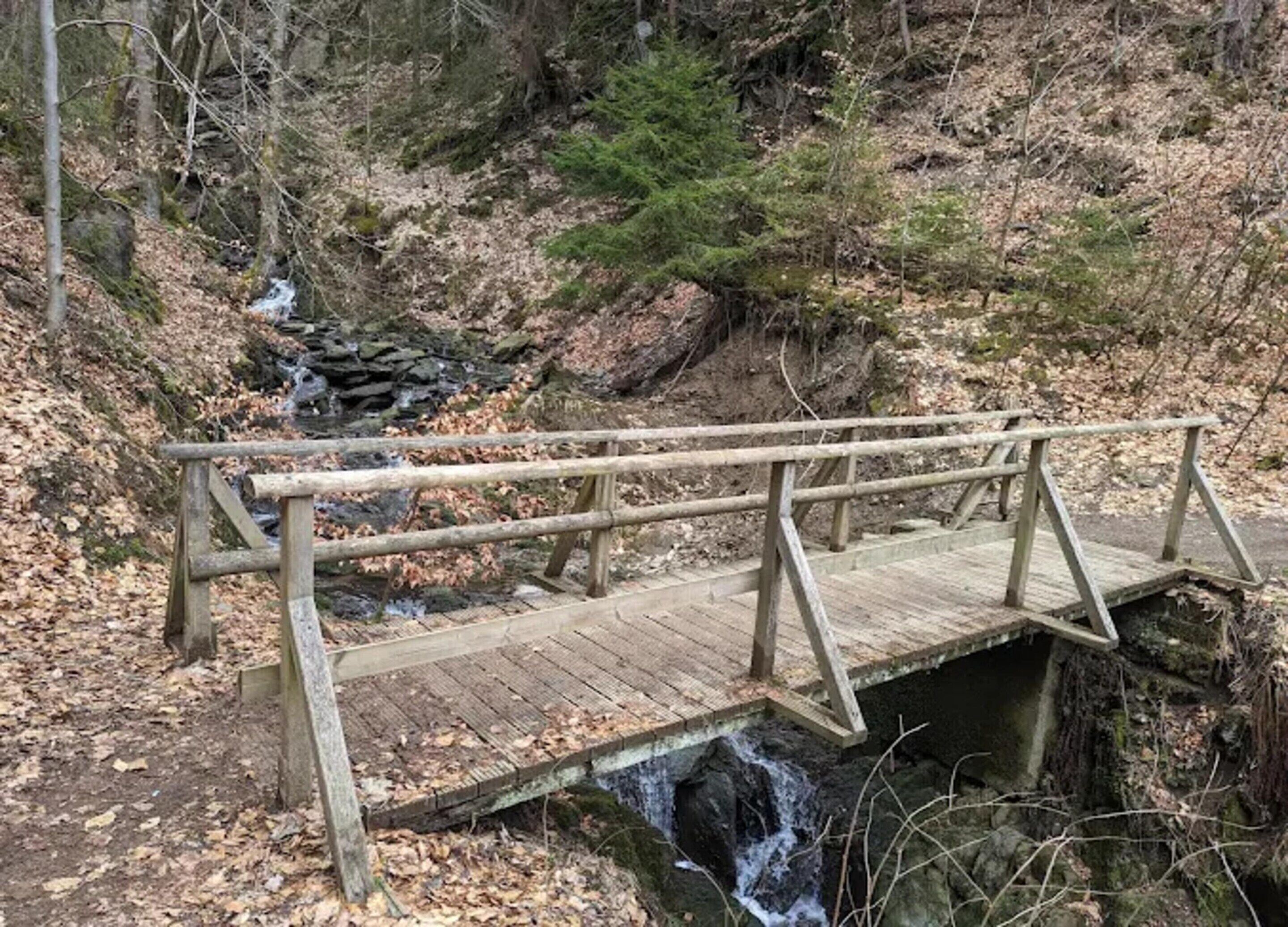 Een houten brug over een kleine waterval in een bebost gebied.