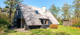 4 Person Holiday Home in Skjern