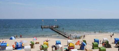 House | Beach | On the beach