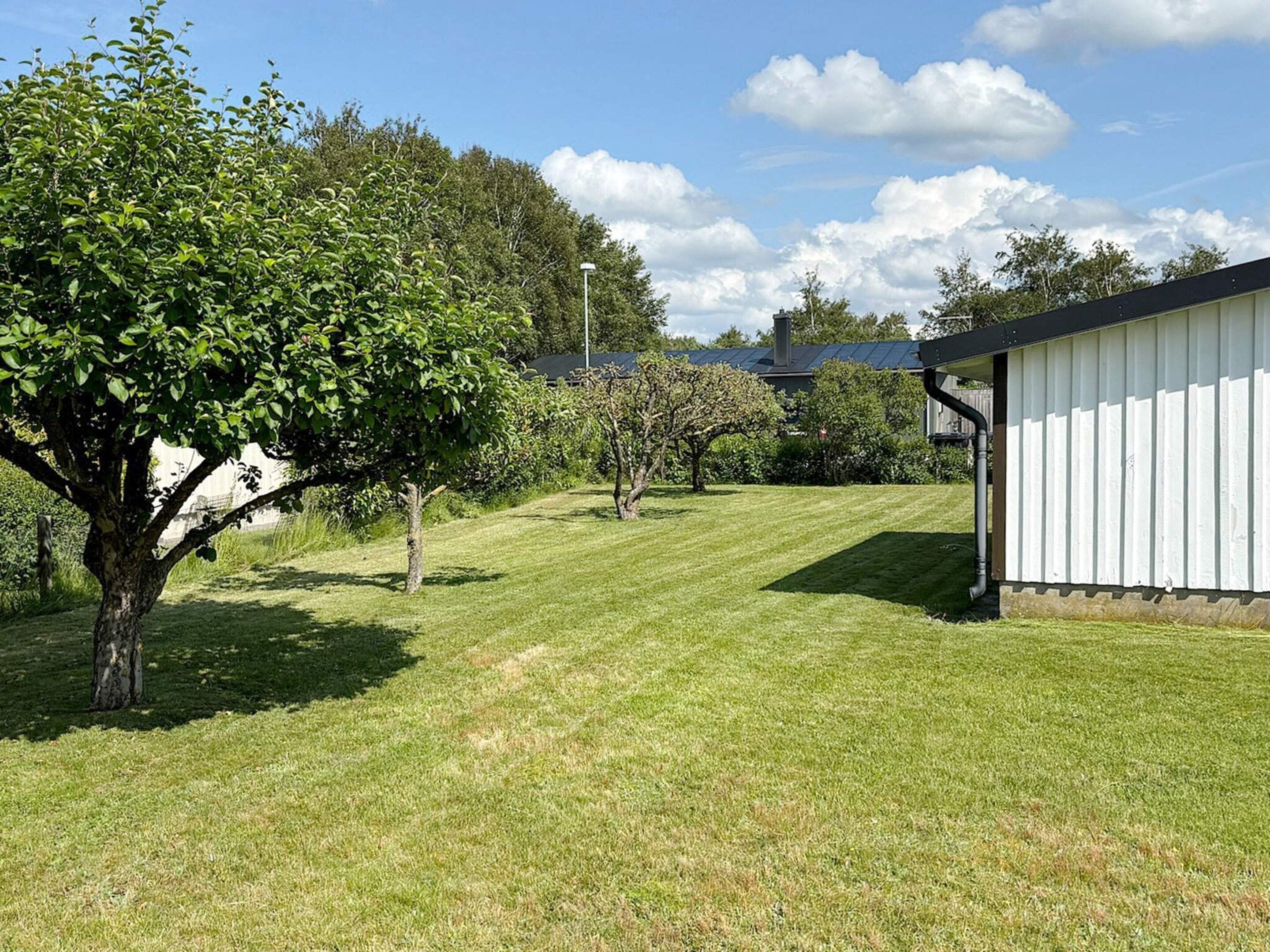 A well-maintained grassy yard with a large tree, a white building, and a clear blue sky.