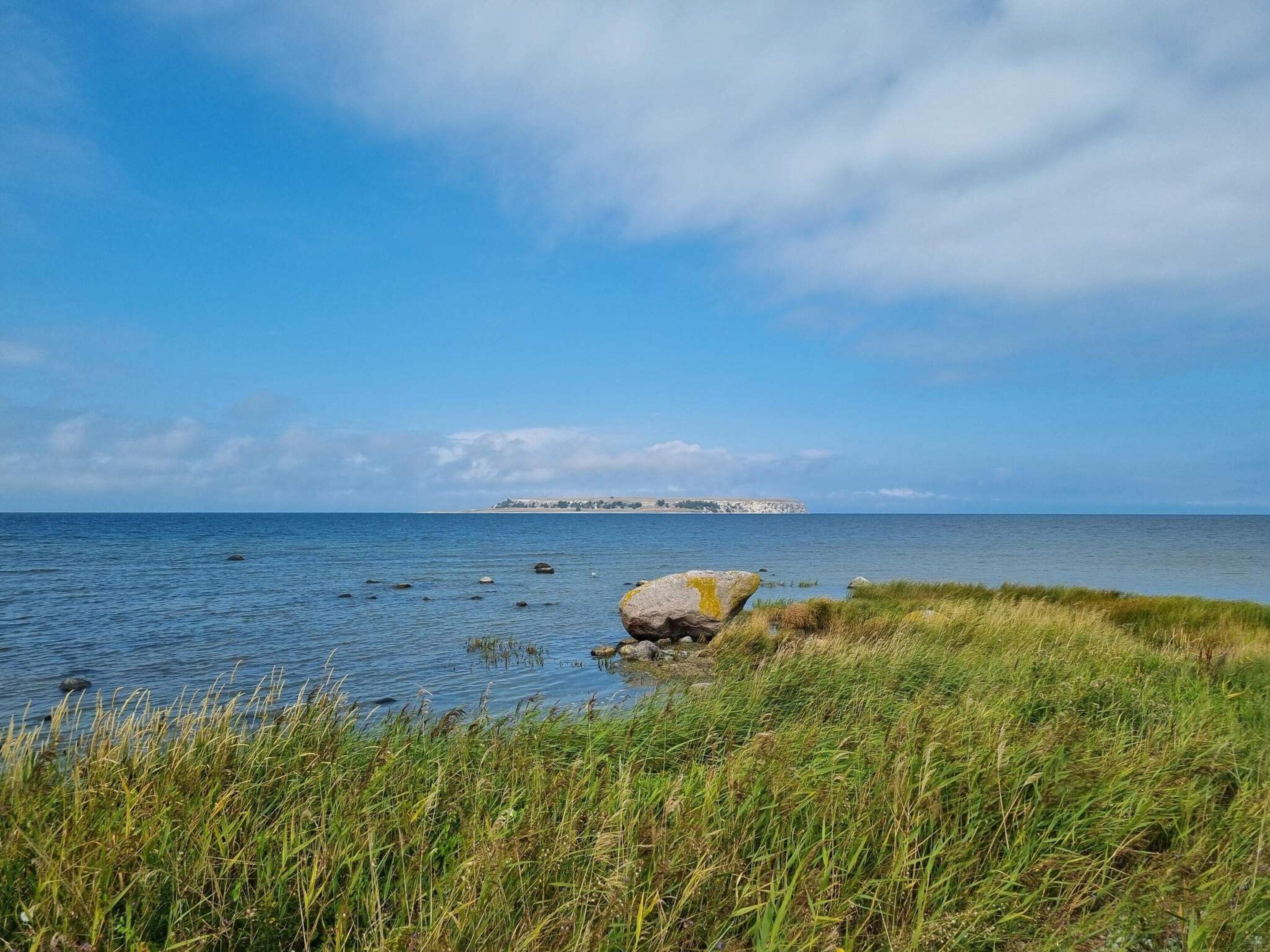 Un paisaje costero con un primer plano de hierba, mar tranquilo y una isla distante con edificios.