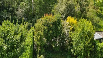 House | Property grounds