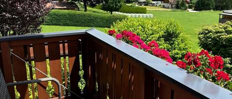 Vista desde la propiedad