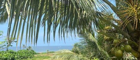 Apartment | View from property