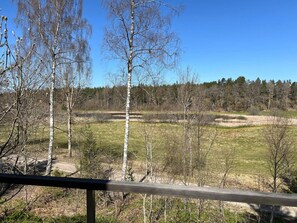 A natural landscape with birch trees, a grassy field, and a forest in the background. - 7 Person Holiday Home in Jarna (Järna)