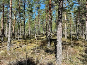 Exterior - 7 Person Holiday Home in Jarna (Järna)
