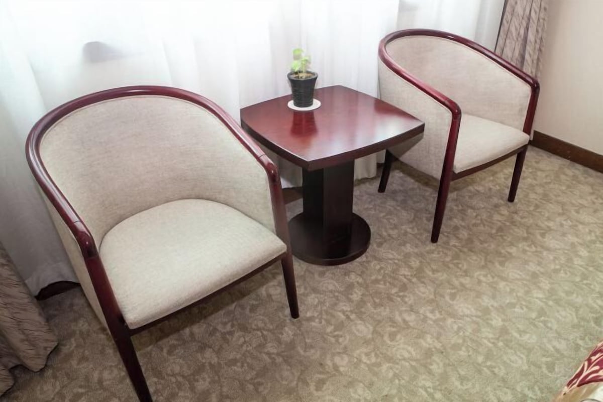 Een kamer met twee gestoffeerde fauteuils, een bijzettafeltje met een potplant en een kamerbreed tapijt.