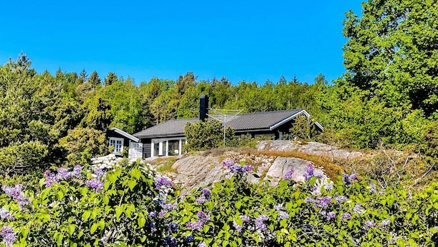 A house with a sloped roof, surrounded by dense greenery and trees. - 4 Star Holiday Home in Hoviksnas (Höviksnäs)