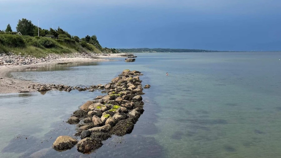 6 Person Holiday Home in Brenderup Fyn