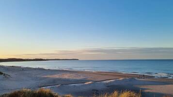 A beach with a clear sky, sandy shore, and grassy dunes.