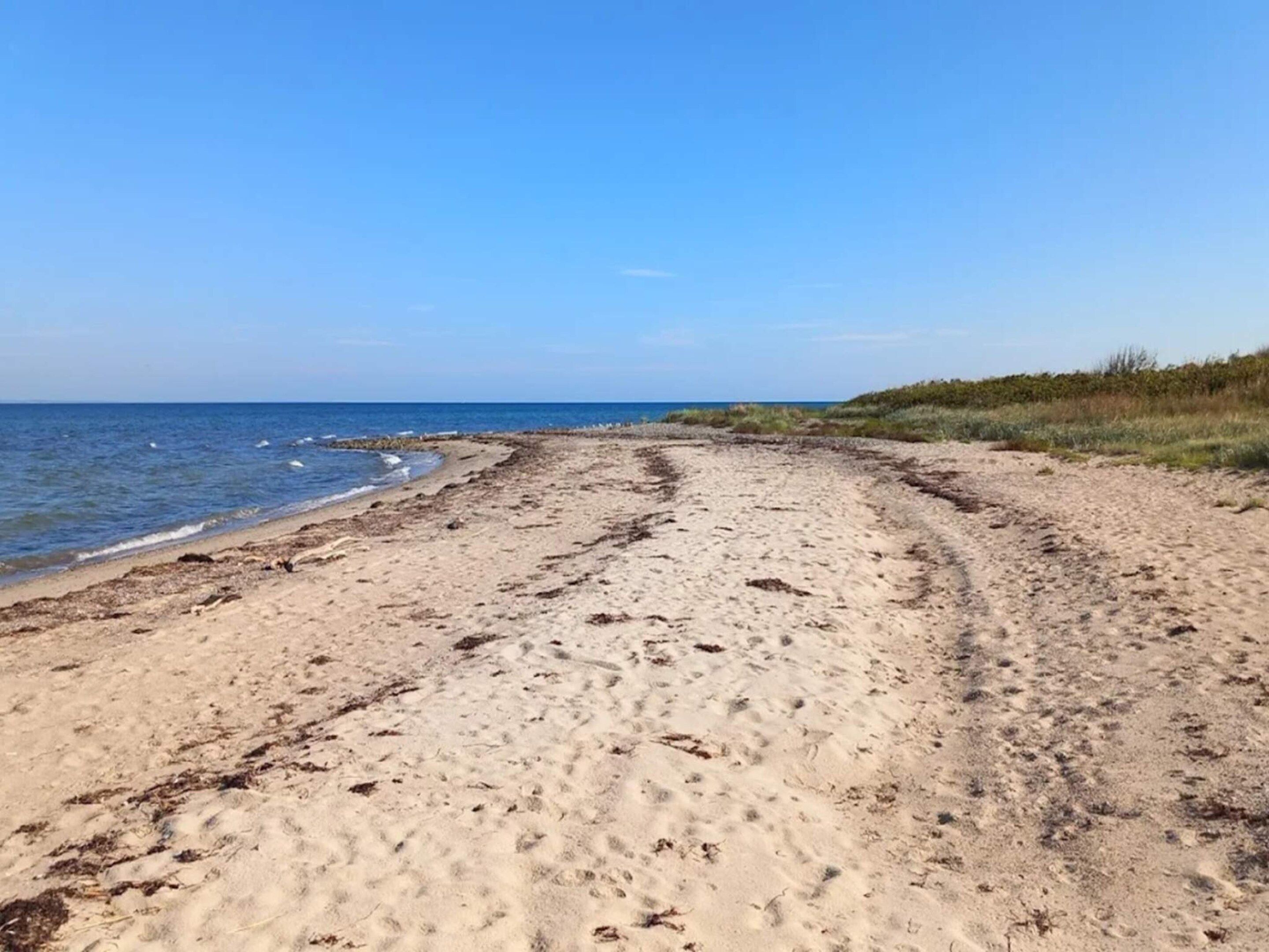 Ein sandiger Strand mit Fußabdrücken, die zum Wasser führen, ein klarer Himmel und Vegetation auf der rechten Seite.