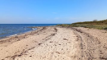 A sandy beach with footprints leading to the water, a clear sky, and vegetation on the right.
