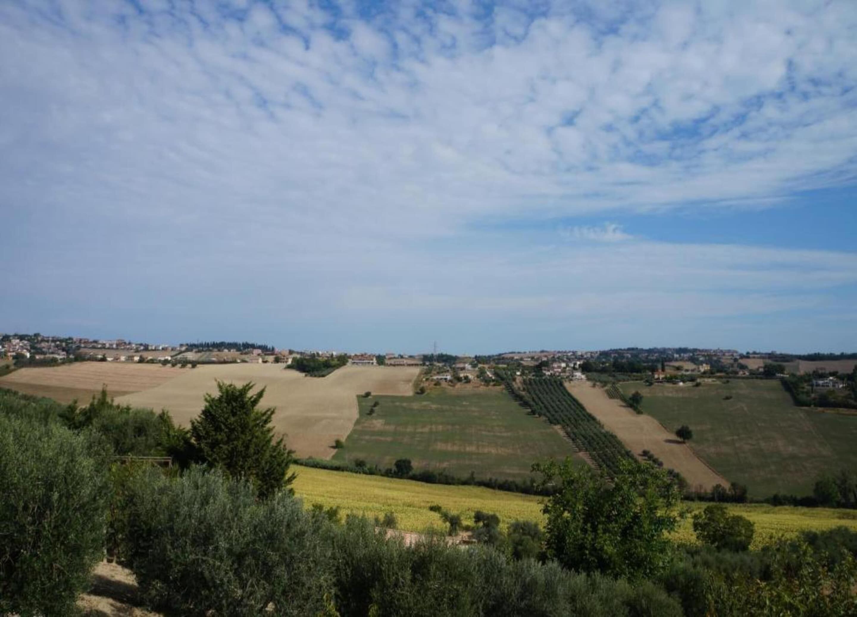 Un paysage rural avec des champs, un petit village et un ciel dégagé.