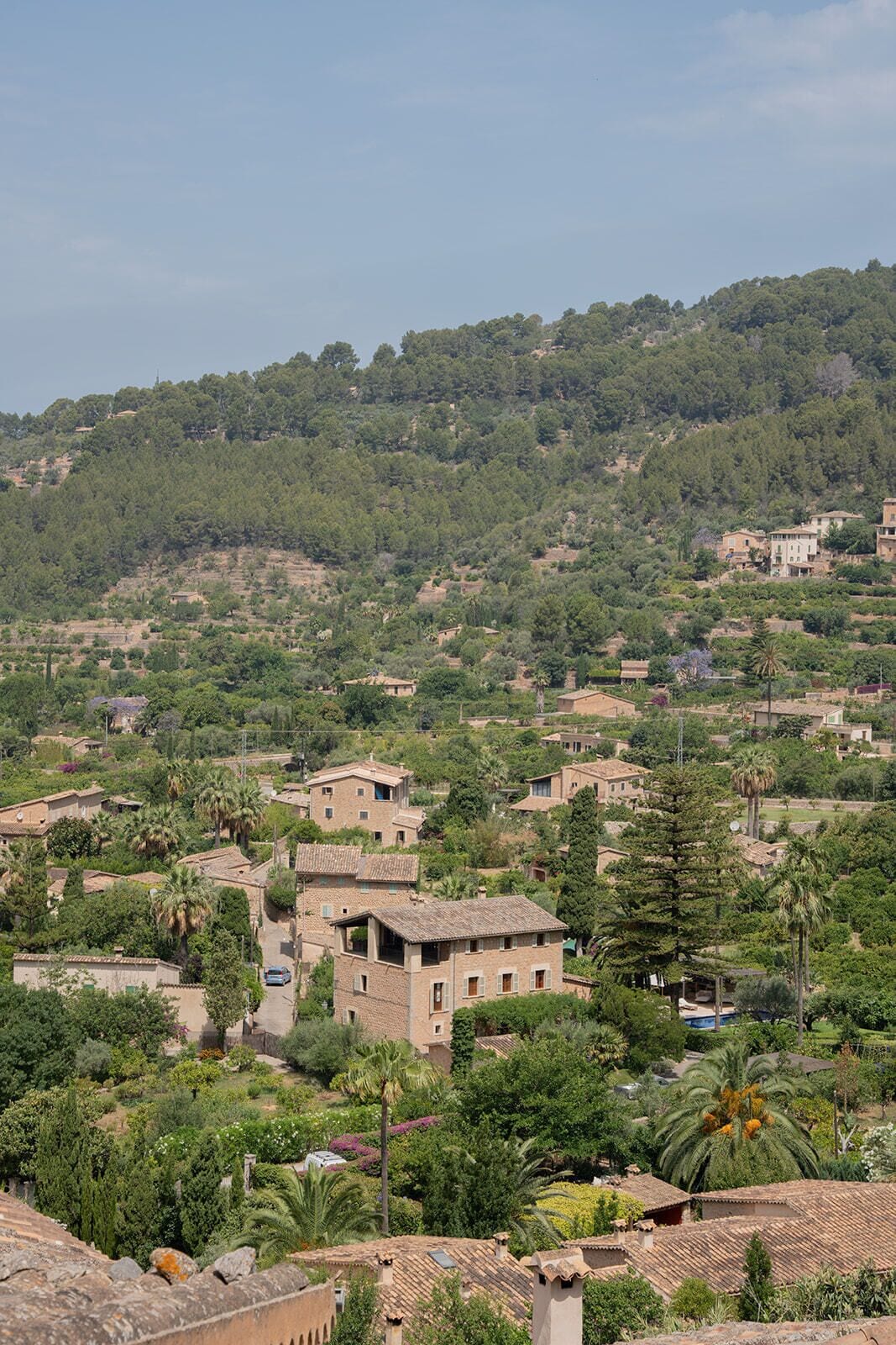 A hillside village with traditional architecture, terraced fields, and scattered trees.