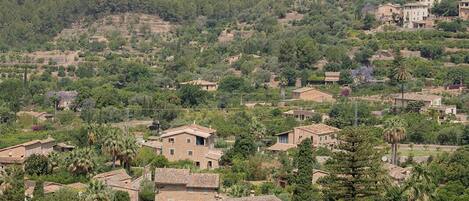 A hillside village with traditional architecture, terraced fields, and scattered trees.