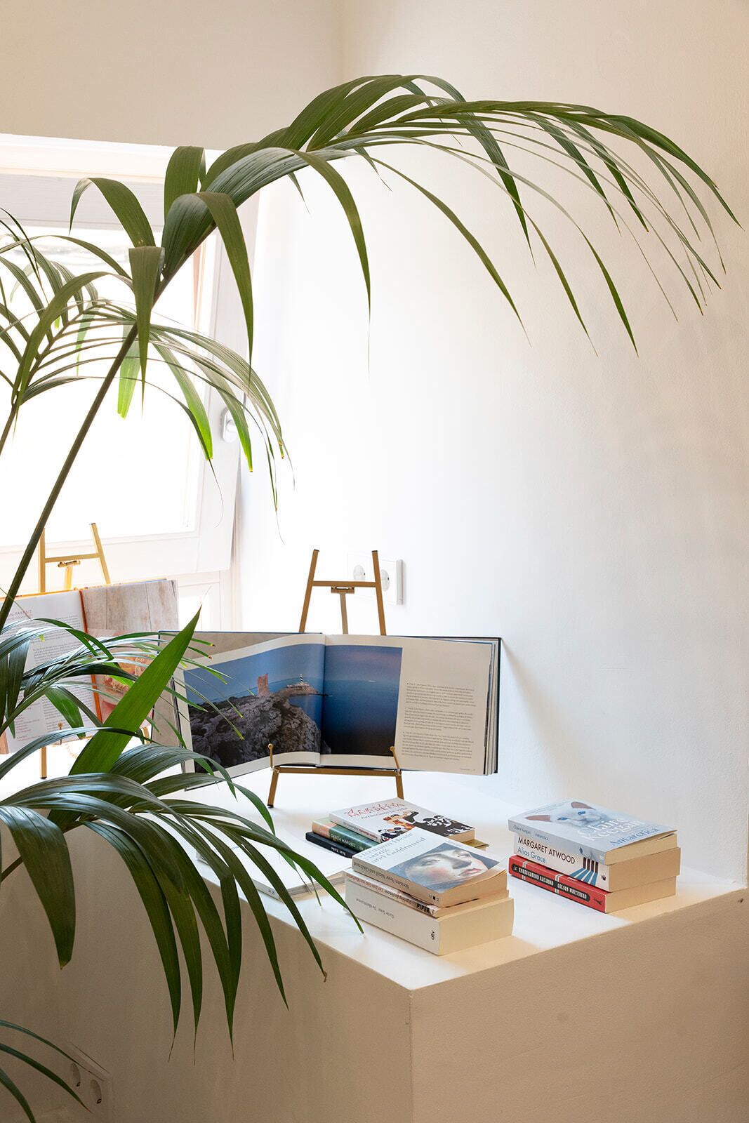 Photo - Petit Biniaraix